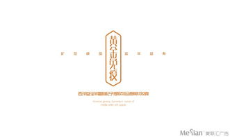 美聯(lián)匯 成都廣告設(shè)計(jì)與品牌塑造的專業(yè)力量